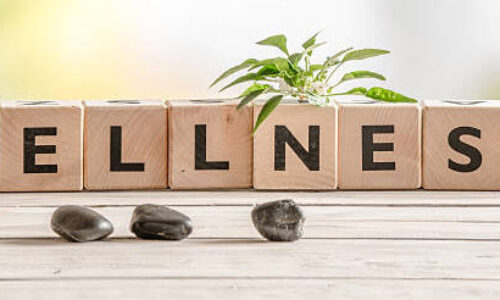 Welcome to our Wellness Blog!