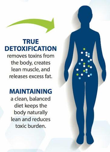 Anti-Aging Breakthrough: Detoxing Body of Harmful Fat By-Products