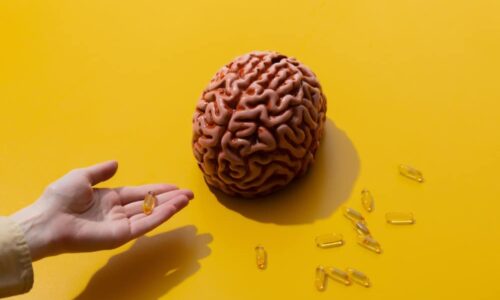 How to Choose a Brain Health Supplement That’s Right for You